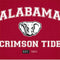 University of Alabama Crimson Tide Basketball Galaxy Book 12in Skin